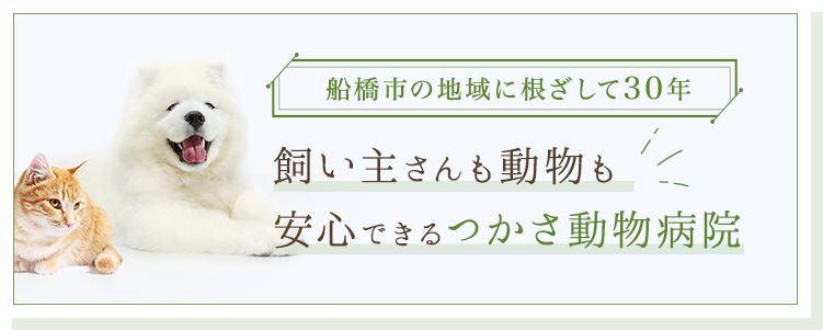 船橋市の地域に根ざして30年。飼い主さんも動物も安心できるつかさ動物病院